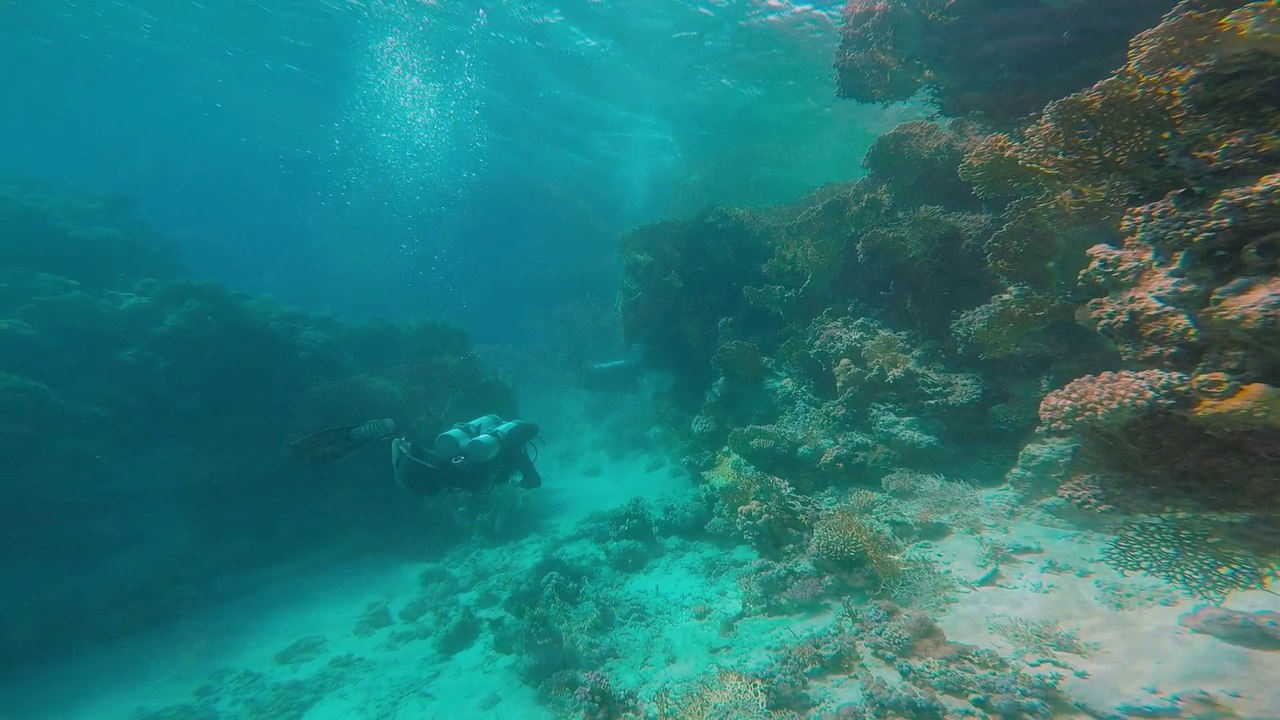 Egipt, Marsa Alam Diving 1080p