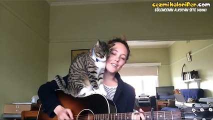 Şarkıyı Her Zaman Söylersin Güzel Ablam Şimdi Beni Sev Diyen Kedi