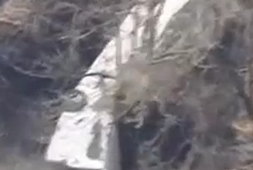 ДТП в Японии- погибли 14 человек