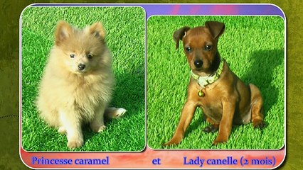 Vincent LAMMOUR INSTRUMENTAL L' amour que rien ne peut détruire