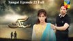 Sangat Episode 22 Full HUM TV Drama 14 Jan 2016