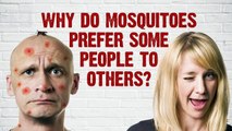 Why do mosquitoes prefer some people to others? James Mays Q&A (Ep 17) Head Squeeze