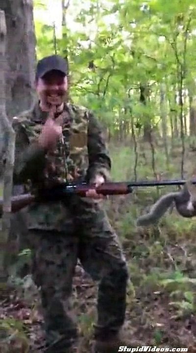 Fearless Squirrel
