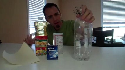 HOW TO MAKE A HOMEMADE LAVA LAMP _ LaneVids for Panah Science Mela