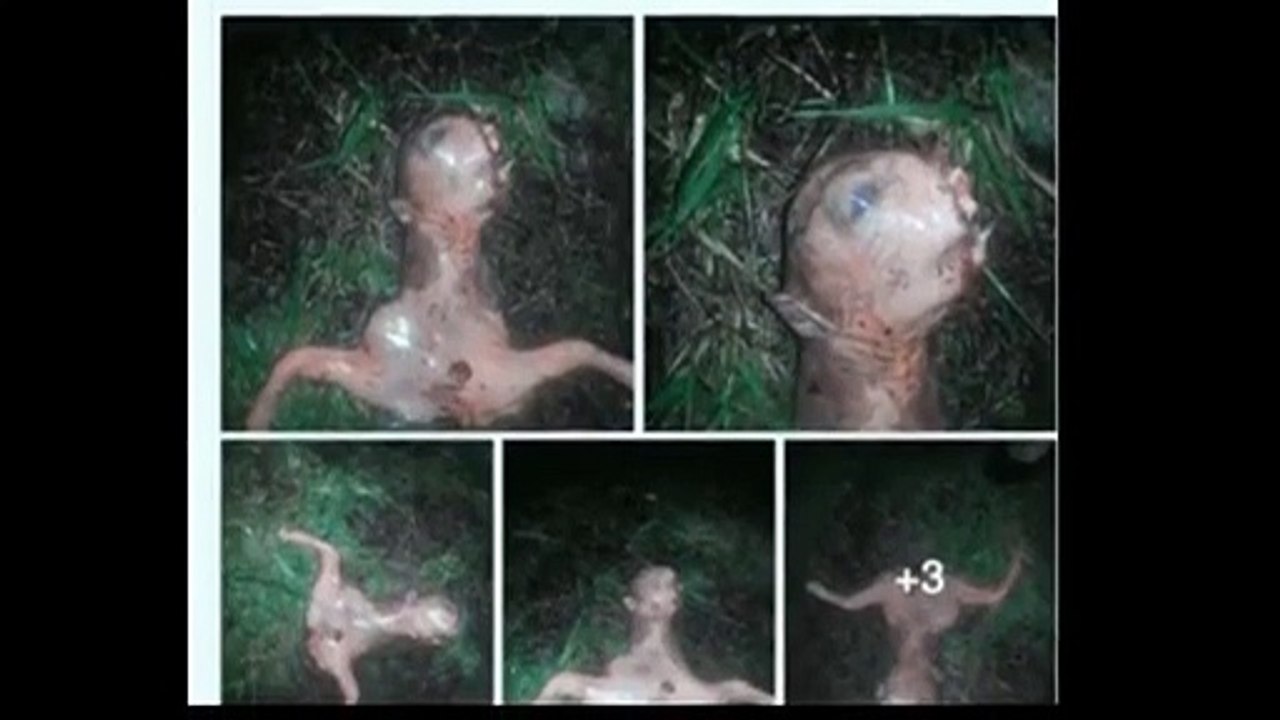 “Real” Alien Found Dead Shortly After UFO Sighting in California
