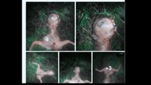 “Real” Alien Found Dead Shortly After UFO Sighting in California