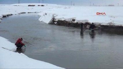Van Kanalizasyon Bendimahi Çayı'nda Yaşamı Bitirdi