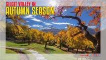 Gilgit Valley In Autumn Season