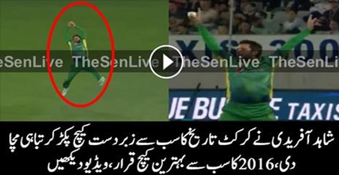 Shahid Afridi Great Catch of 2016 Against New Zealand