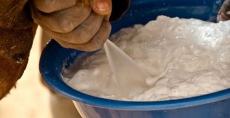 Litresi 50 Liraya "Yok Satan" Süt