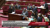 Proposition de loi d'expérimentation territoriale visant à résorber le chômage de longue durée - Les matins du Sénat (15/01/2016)