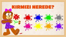 Renkleri Tanıyalım - Çocuklar İçin Eğitici Eğlenceli Türkçe Çizgi Film