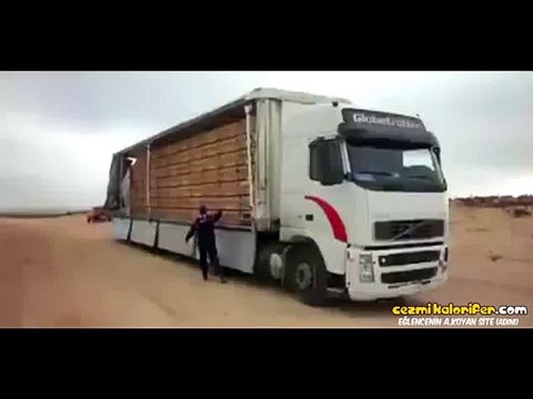 Özgürlüğe Uçuş