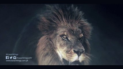 Karachi Kings Promo (Sohail Tanveer)(11-01-16)