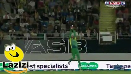 Shahid Afridi Great Catch of 2016 in New Zealand