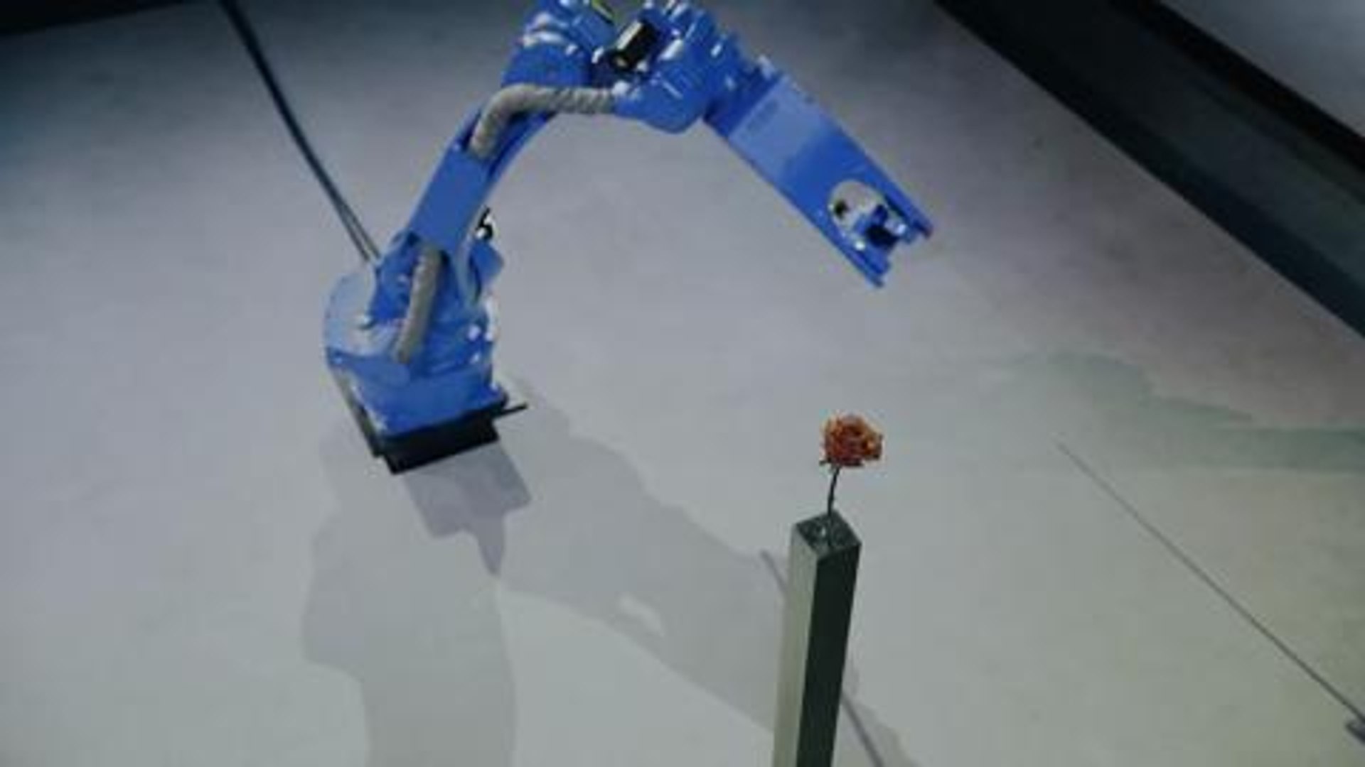 YASKAWA BUSHIDO PROJECT - industrial robot vs sword master - Vídeo  Dailymotion
