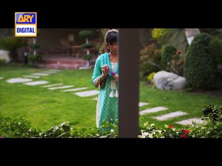 Ab Kar Meri Raffugeeri  - ARY
