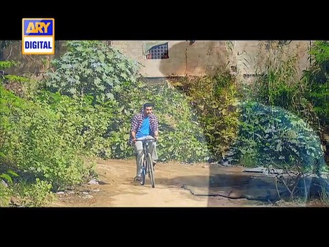 Shehzada Saleem - ARY Digital