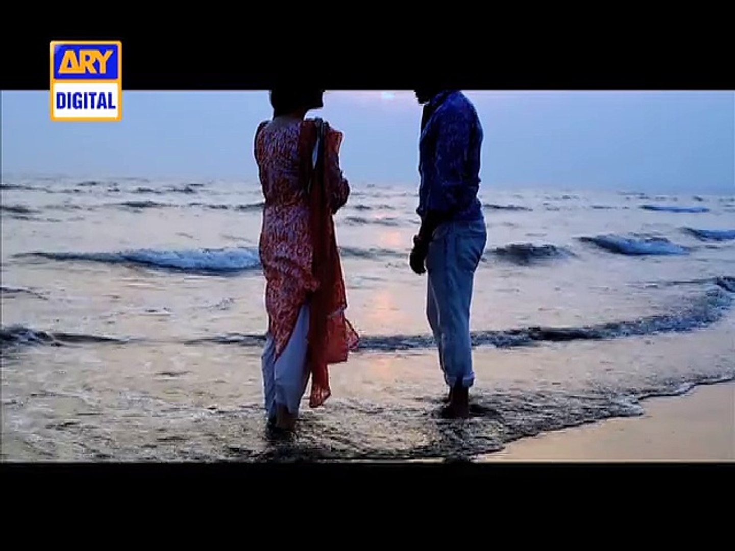 Shehzada Saleem  - ARY Digital