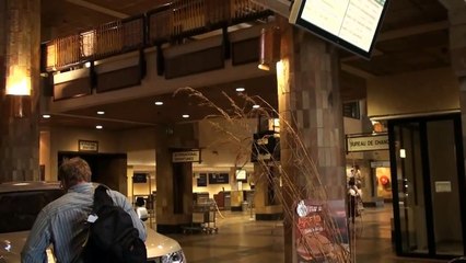 My Flight to Cape Town