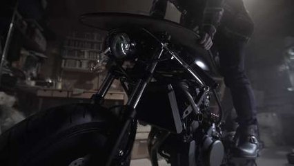 Root - project AH A MAY