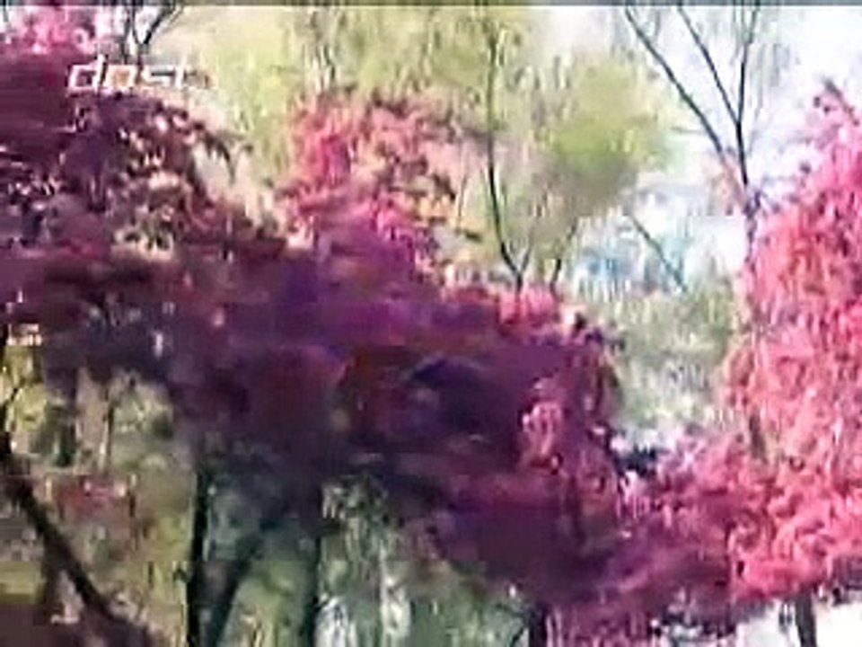 Beş vakit namaz hikmetleri (1) -The five daily prayers wisdom 1