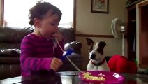 funny cute babies doing things,kissing dogs