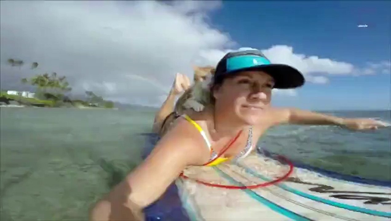Ce chat borgne adore faire du surf