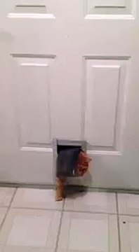 Новогодние праздники удались)))