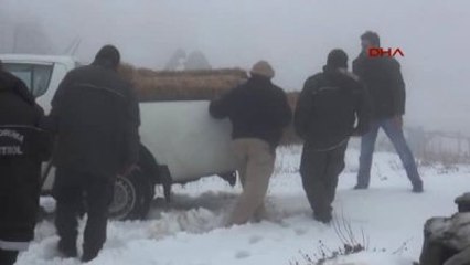 Osmaniye'de Yaban Hayvanları İçin Doğaya Yiyecek Bırakıldı