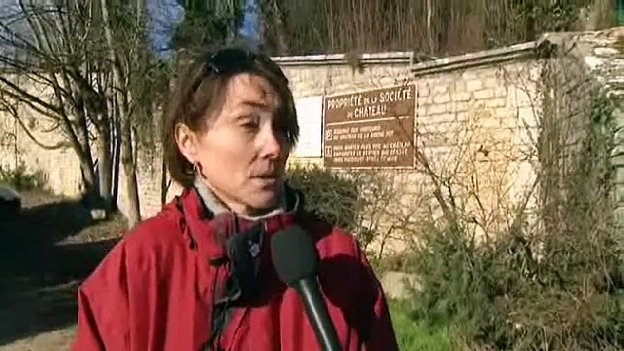 Côte-d'Or : le château de La Rochepot a trouvé preneur