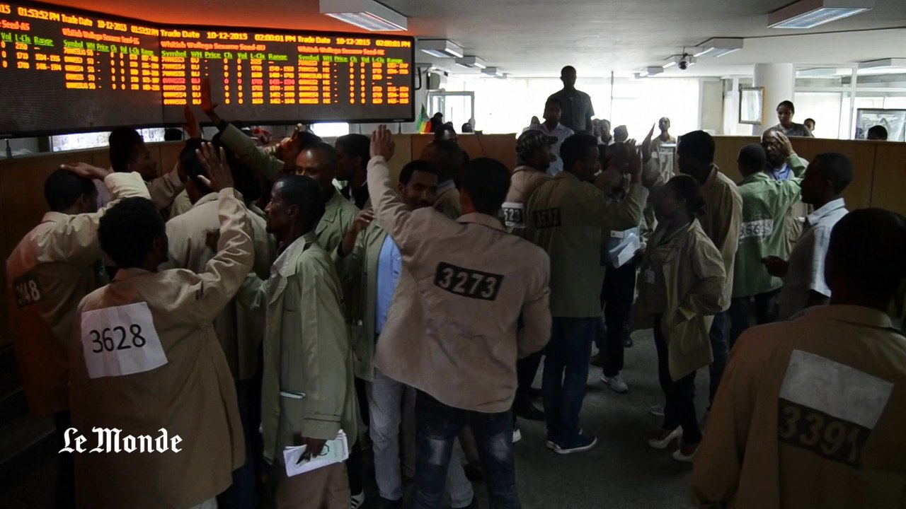 Plongée dans la bourse agricole d'Addis Abeba