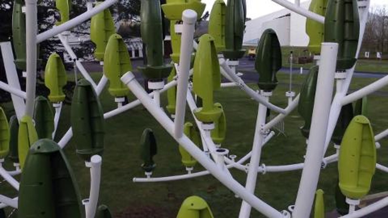 Wind Tree