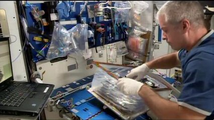 Space Station Live- Lettuce Look at Veggie