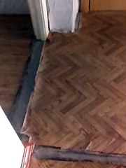 мой кот саймон