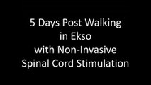 Paralyzed subject Training in Ekso during spinal cord stimulation