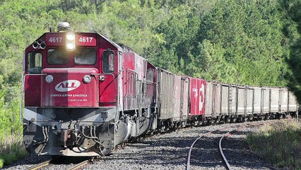 Petróleo despenca e ações da Petrobras caem 7%