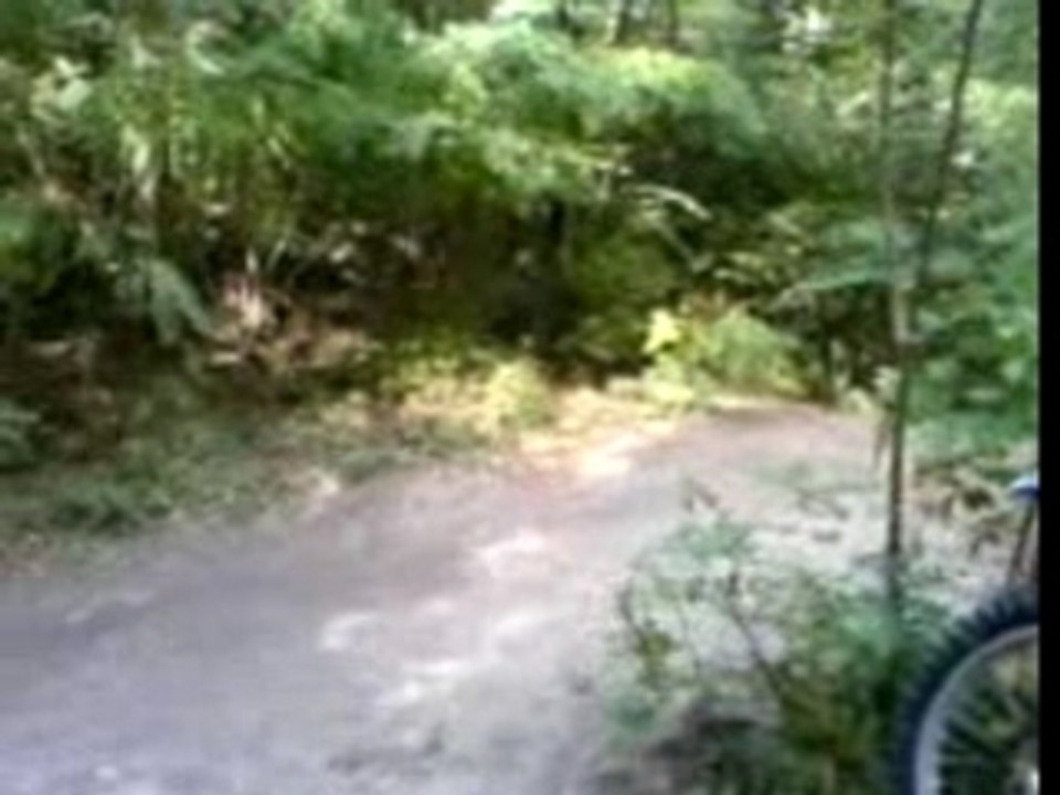 alexi yz 85