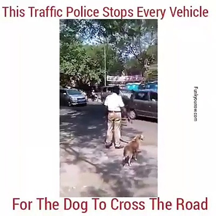 Be A police Man