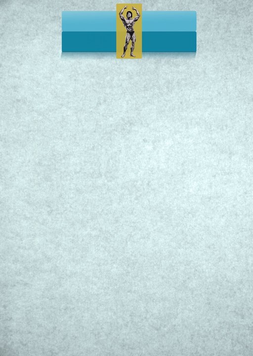 Motion Graphics - Infographic Video