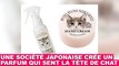 Une société japonaise crée un parfum qui sent la tête de chat ! À découvrir dans la minute chat #101