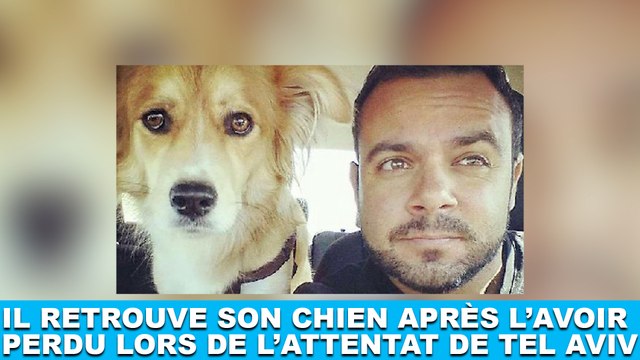Il retrouve son chien après l'avoir perdu lors de l'attentat de Tel Aviv ! Tout de suite dans la minute chien #101