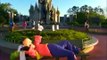 Disneys Magical Express Video for Walt Disney World Planning