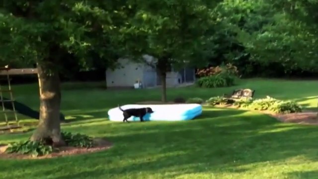 Hey guys I wanna play !_Mix Maza 2016