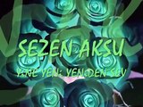 Sezen Aksu - Hadi Beni Yine Sev Yeniden SEV