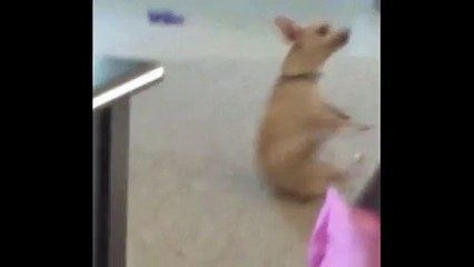 Still a better dancer than Drake. _Mix Maza 2016