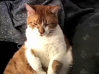 Сижу никого не трогаю, чо надо