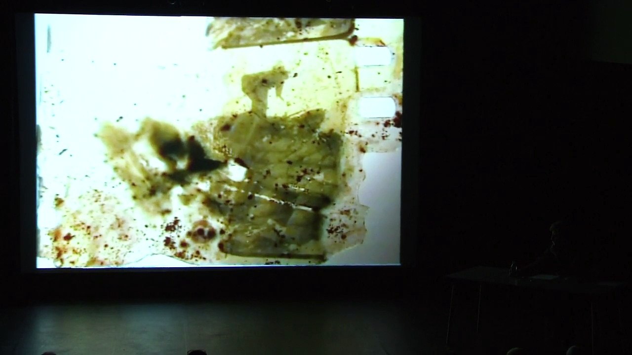 Jean-Yves Jouannais | L'encyclopédie des guerres (71)