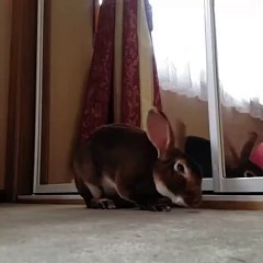 When you wake up in the morning _ _Mix Maza 2016