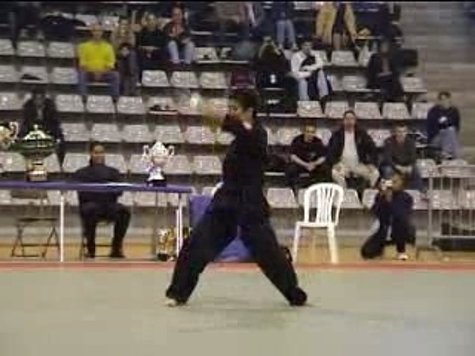 Crazykungfu